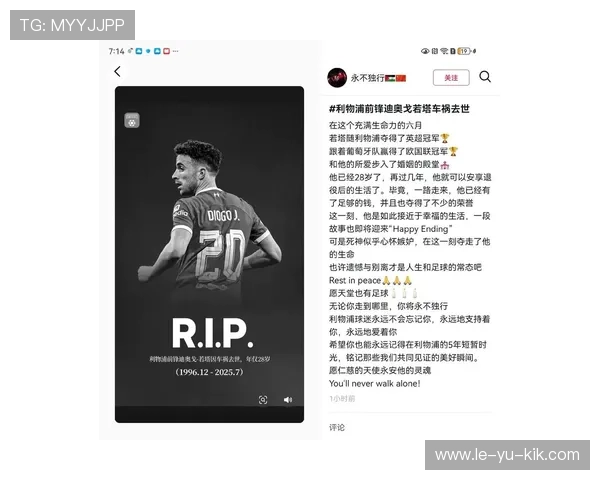 永不独行的启示：一位球迷与利物浦足球俱乐部的二十年情怀